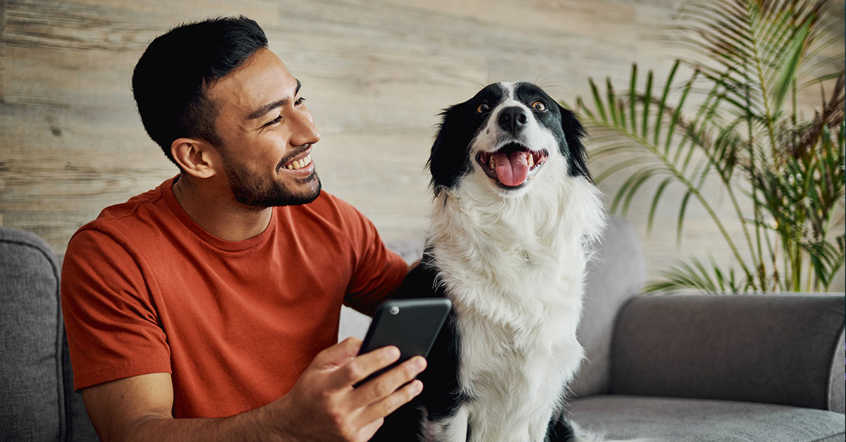 man investing on phone with dog sitting next to him