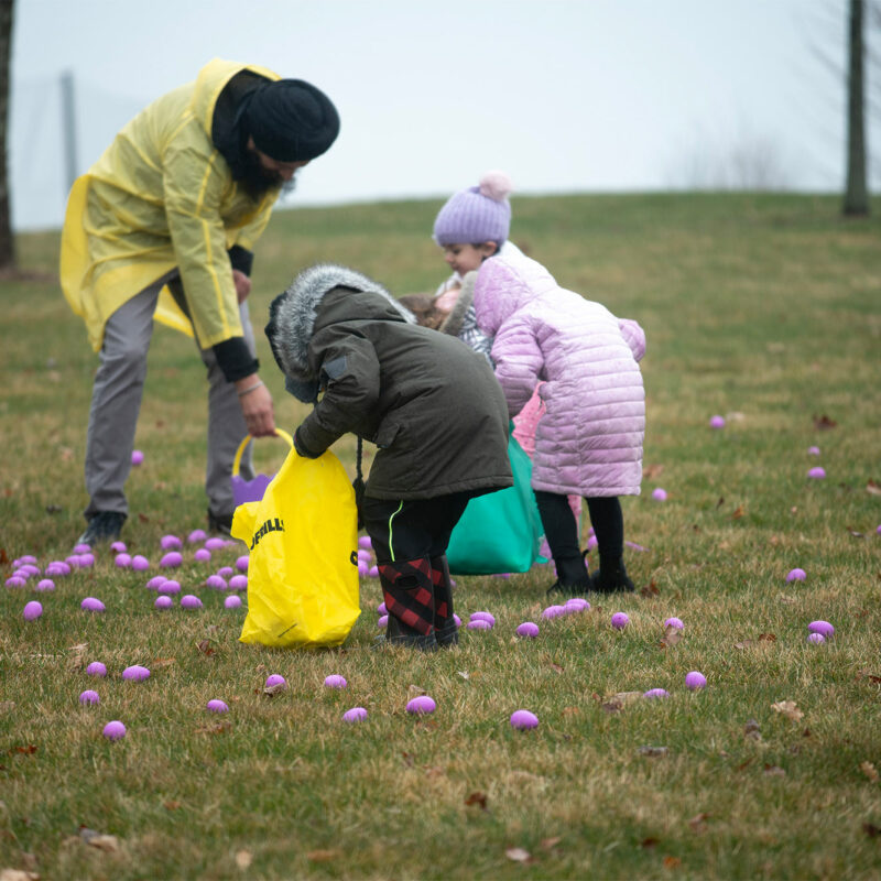 Children searching for eggs at the WFCU Easter Egg Drop