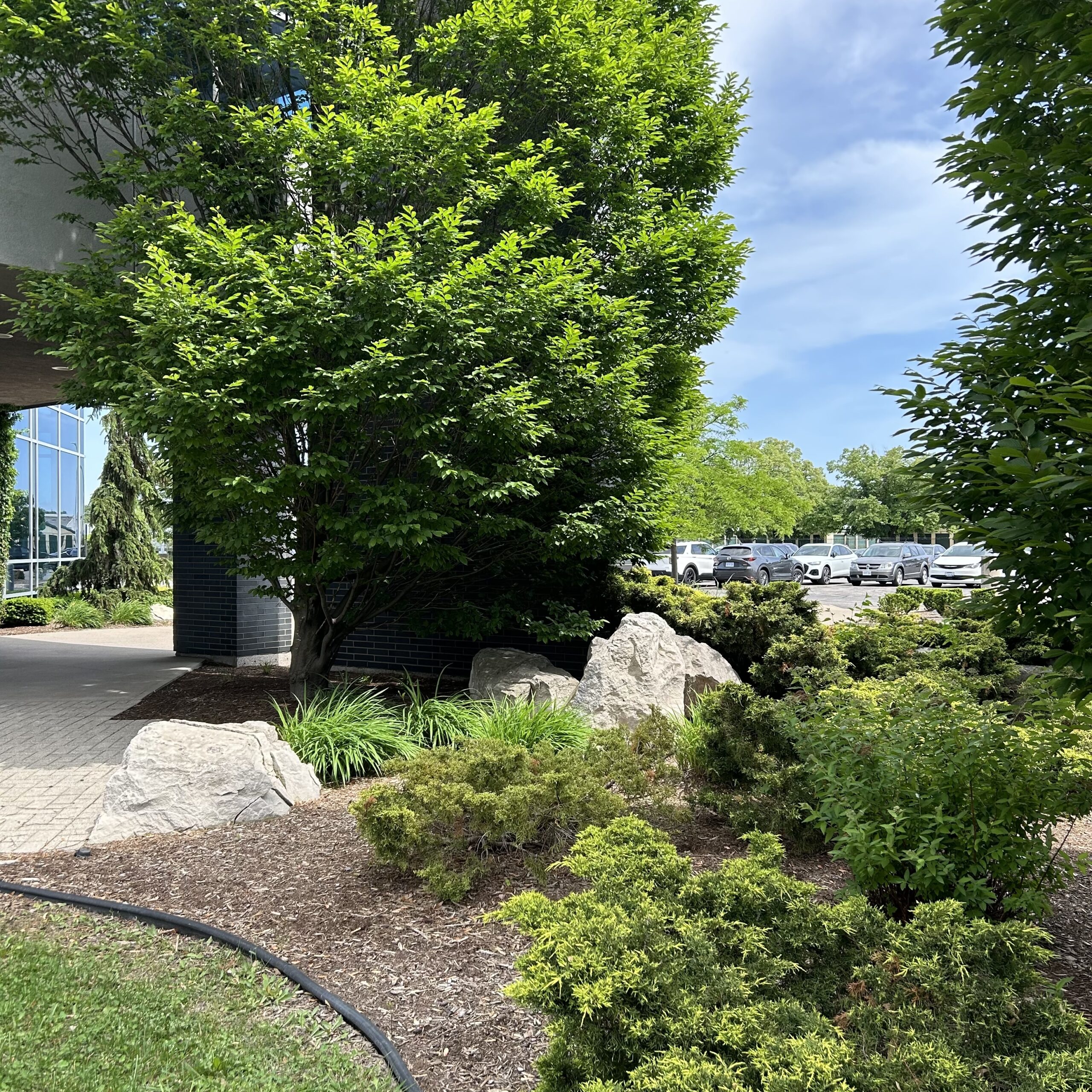 WFCU Credit Union Head Office – Native Plant Garden