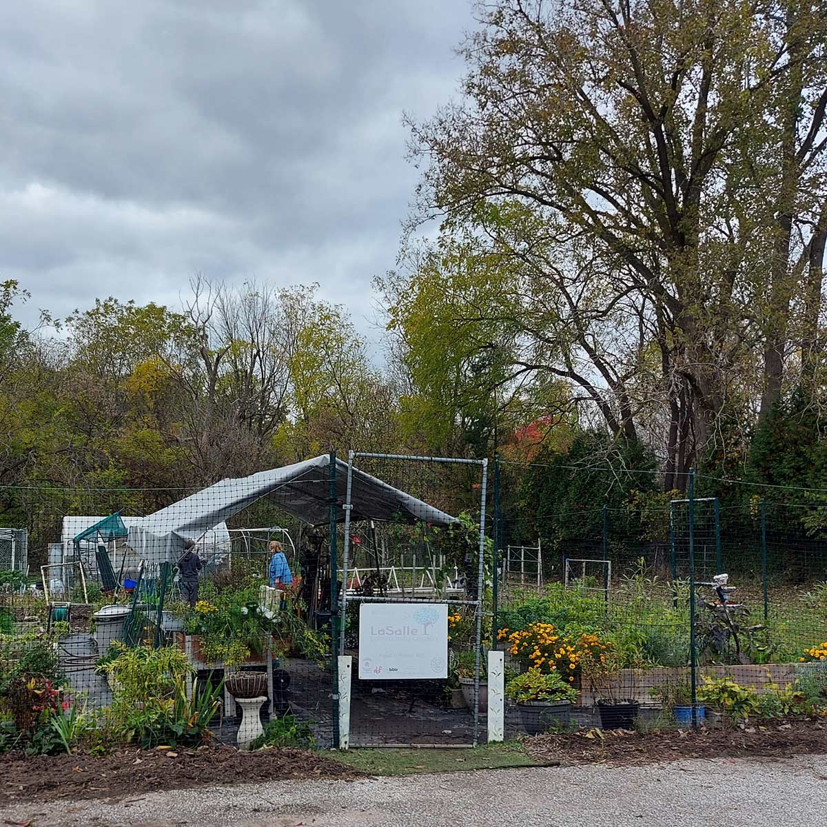 Community Garden