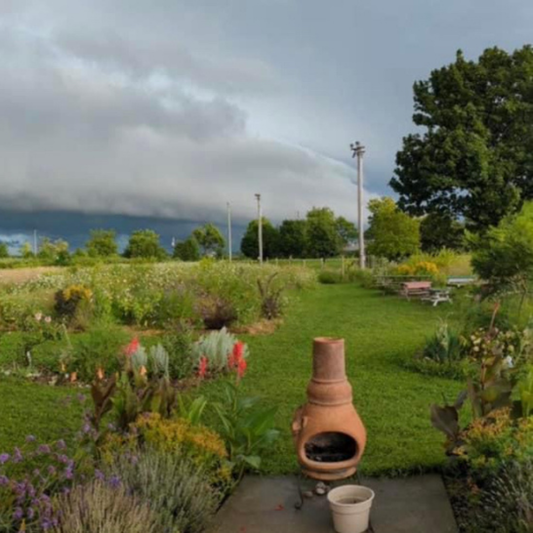 Pelee Island Butterfly Sanctuary and Teaching Garden 2