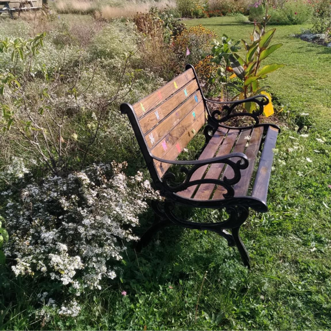 Pelee Island Butterfly Sanctuary and Teaching Garden 3