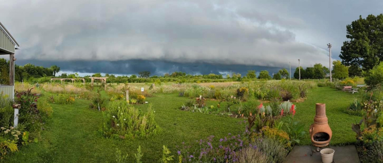 Pelee Island Butterfly Sanctuary and Teaching Garden – Pollinator/Butterfly Garden