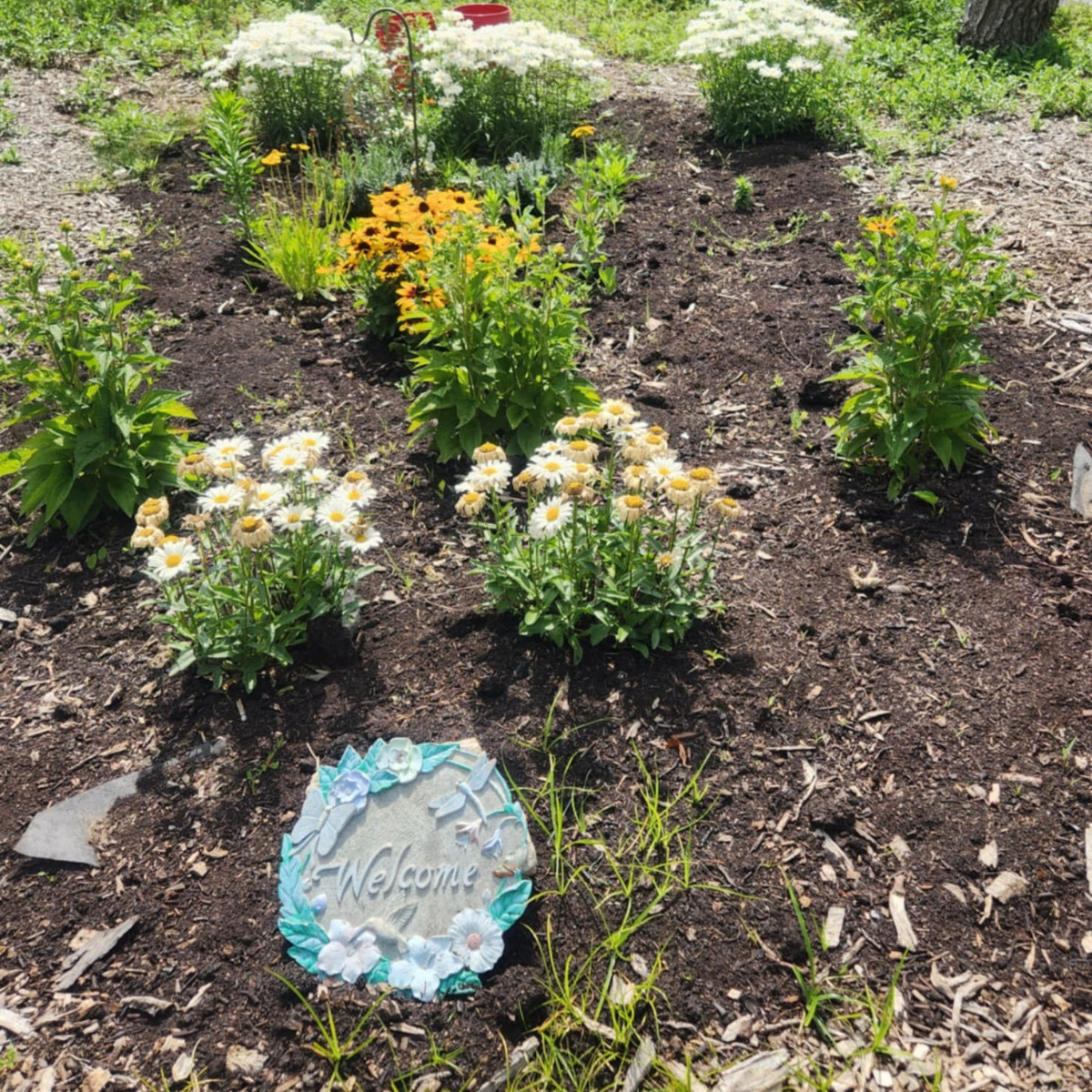 Lake Erie Country Club Butterfly Garden – Pollinator/Butterfly Garden