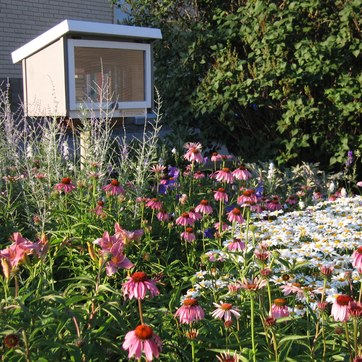 Meg’s Little Free Library – Flower Garden