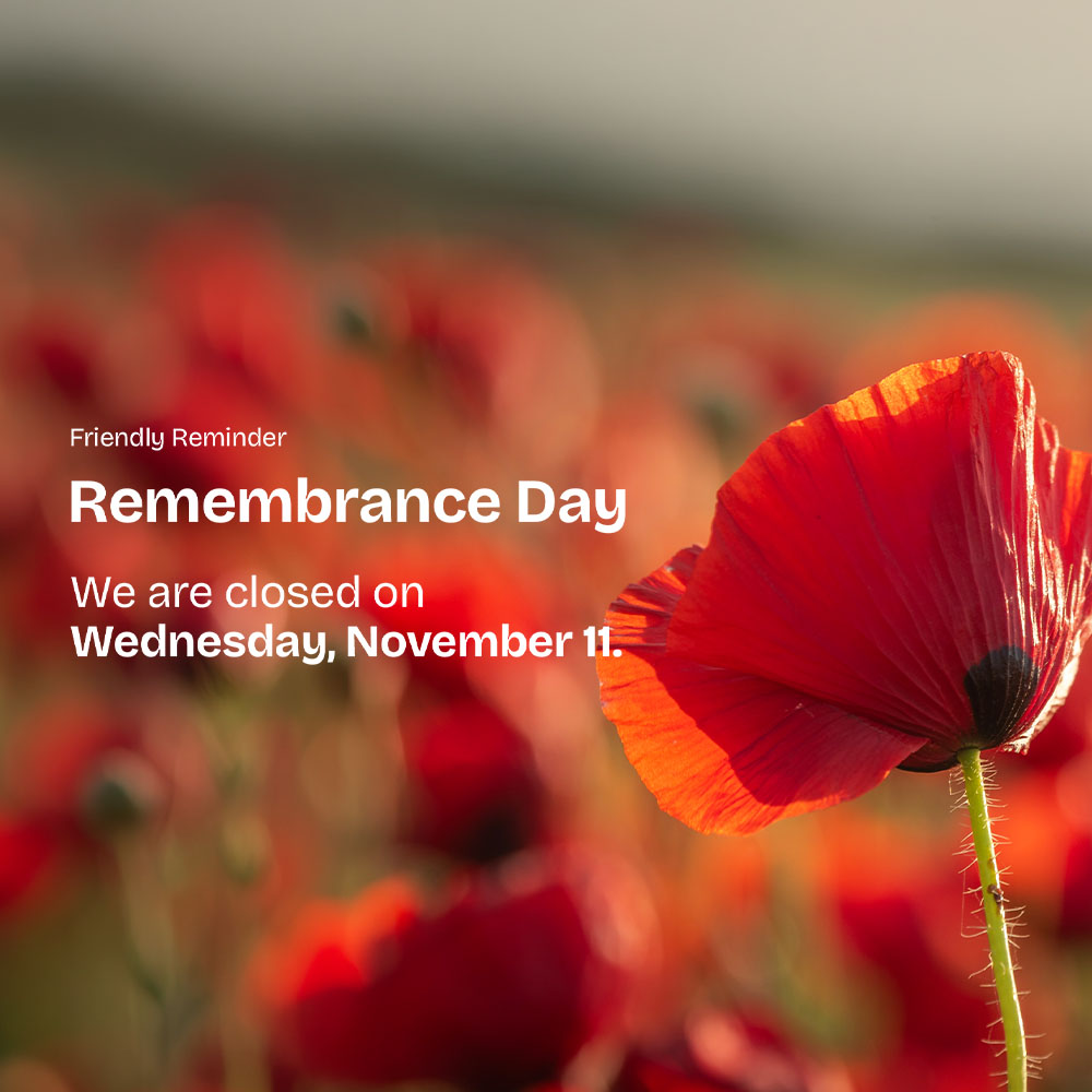 A Remembrance Day notice featuring a close-up photograph of a red poppy in the foreground with additional poppies blurred in the background. White text on the left side of the image states: “Friendly Reminder. Remembrance Day. We are closed on Wednesday, November 11.” The image serves as a closure notice and commemorates Remembrance Day through the use of the poppy symbol.