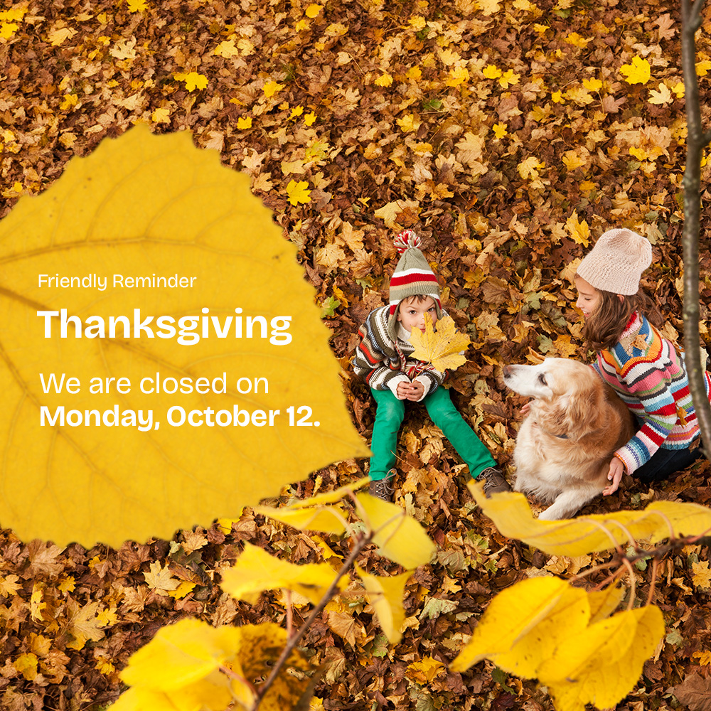 Promotional graphic for Thanksgiving holiday hours. A large yellow autumn leaf appears on the left side with the text: “Friendly Reminder. Thanksgiving. We are closed on Monday, October 12.” On the right side, two children wearing knit hats and striped sweaters sit among fallen orange and brown leaves with a golden-coloured dog. Additional yellow leaves appear in the foreground and throughout the autumn outdoor setting.
